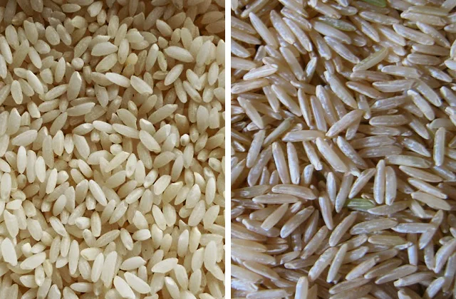 Basmati paddy harvest in Punjab