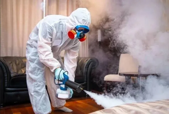 How to Choose Pest Management Services in Lahore for Your Home or Business, photo 1