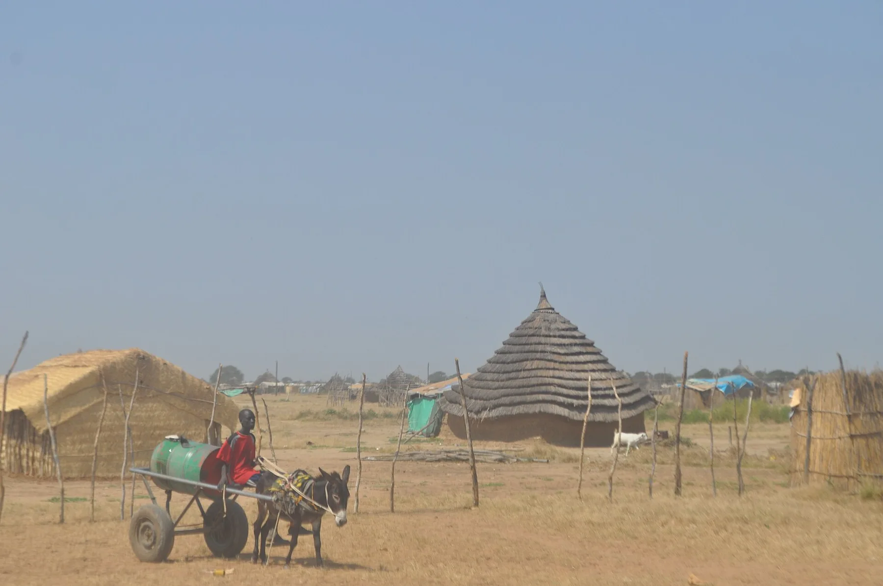 Donkey cart carrying a green water drum past thatched huts and reed fences in Abyei