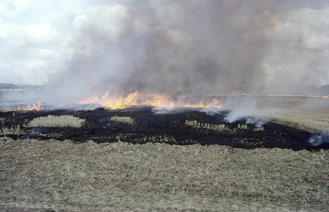 Flames and thick grey smoke rise from a burning field of crop stubble, leaving blackened ground behind
