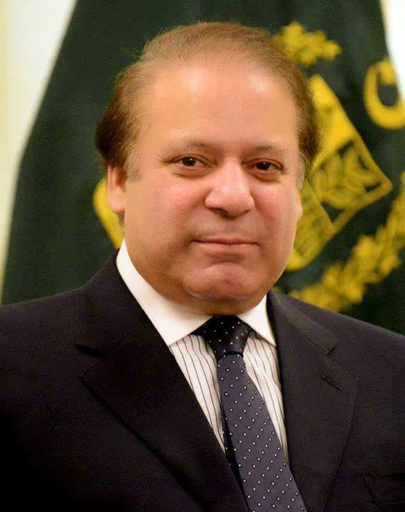 Nawaz Sharif in a dark suit and dotted tie in front of the green state emblem flag
